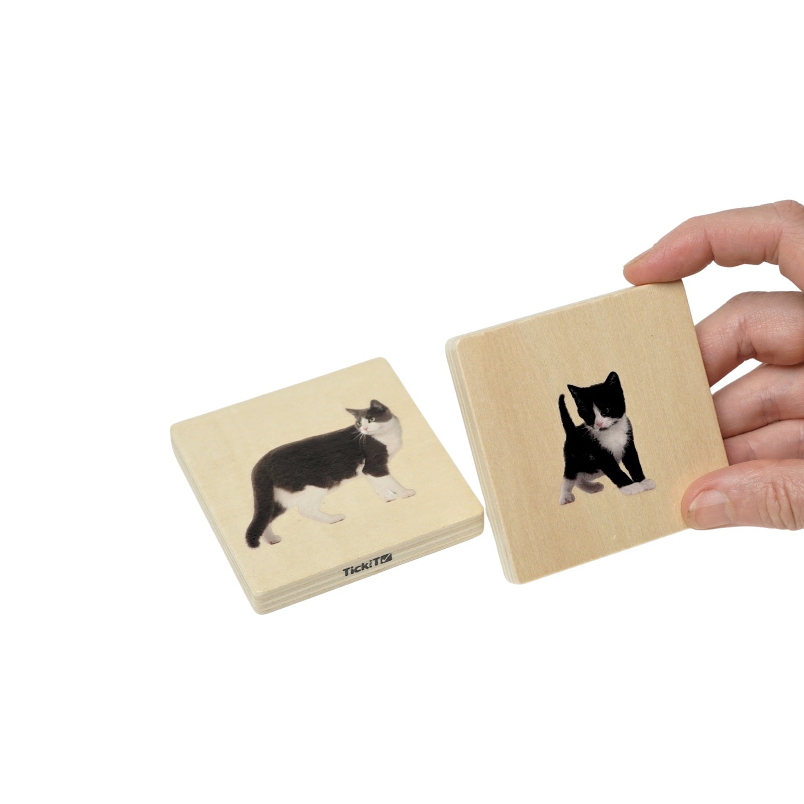 Houten Memo - Welke dieren horen bij elkaar