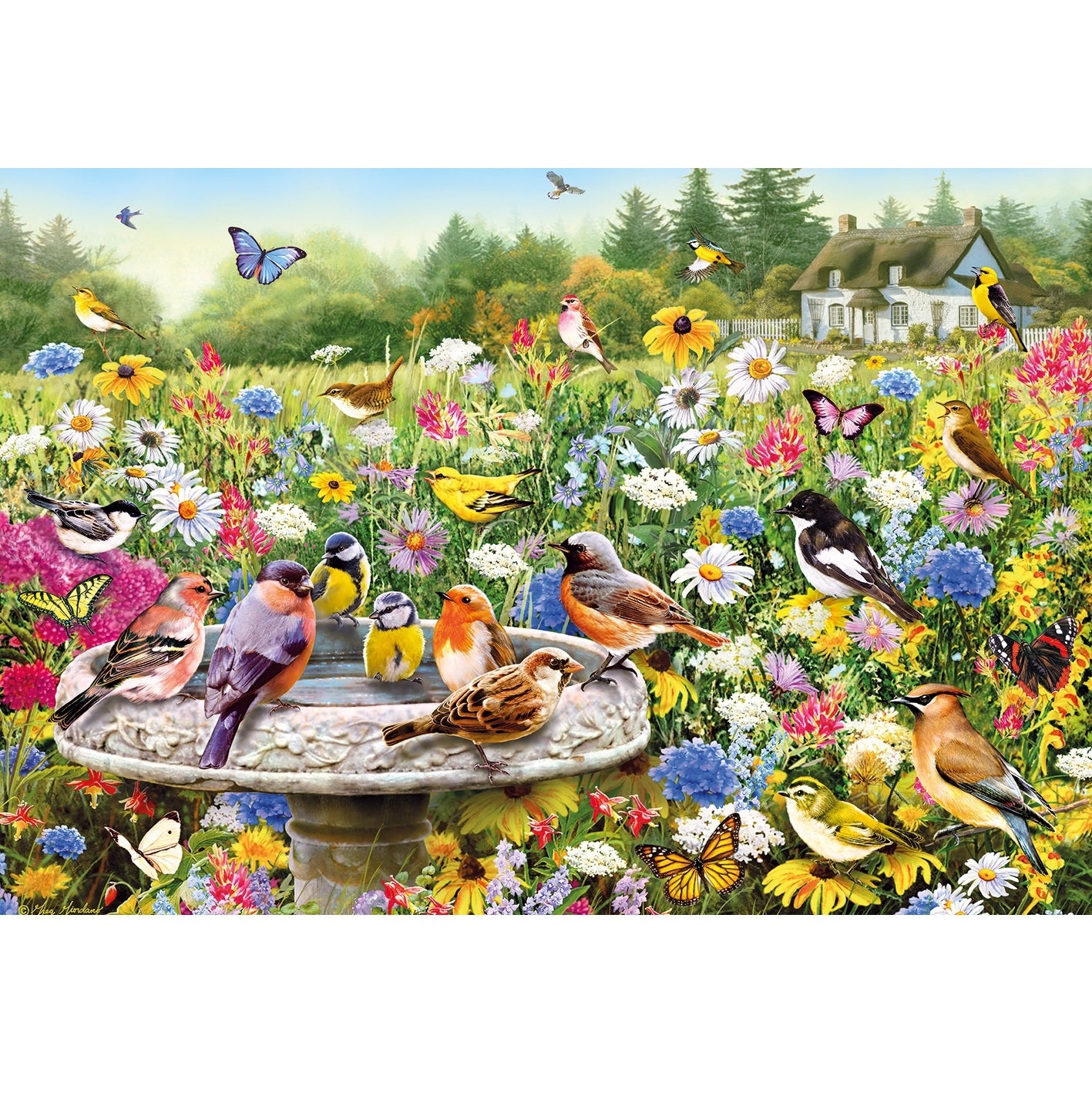 Puzzel - De geheime tuin (100 XXL)