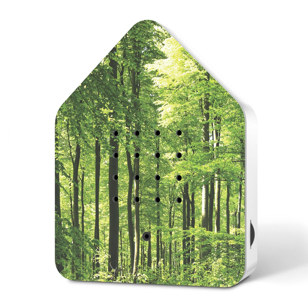 Zwitscherbox Forest – Natuurgeluiden met bewegingssensor, creëert een rustgevende sfeer voor senioren.