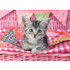 Puzzel Ravensburger - Schattig Katje (100 XXL)