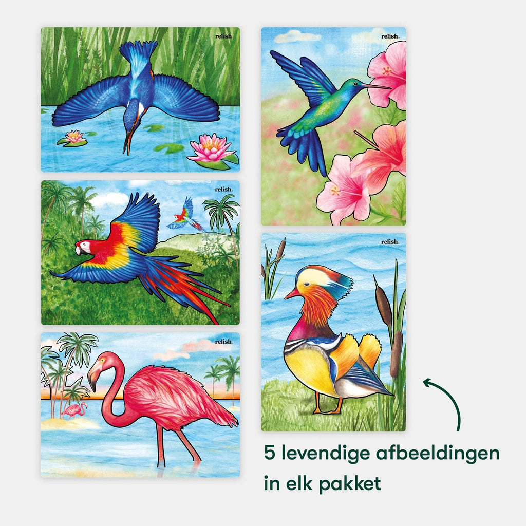 Schilderen met water - Prachtige vogels