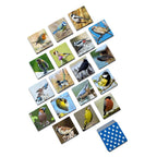 Memo Vogels – Educatief geheugenspel met diverse vogelsoorten, stimuleert geheugen en activering voor alle leeftijden.
