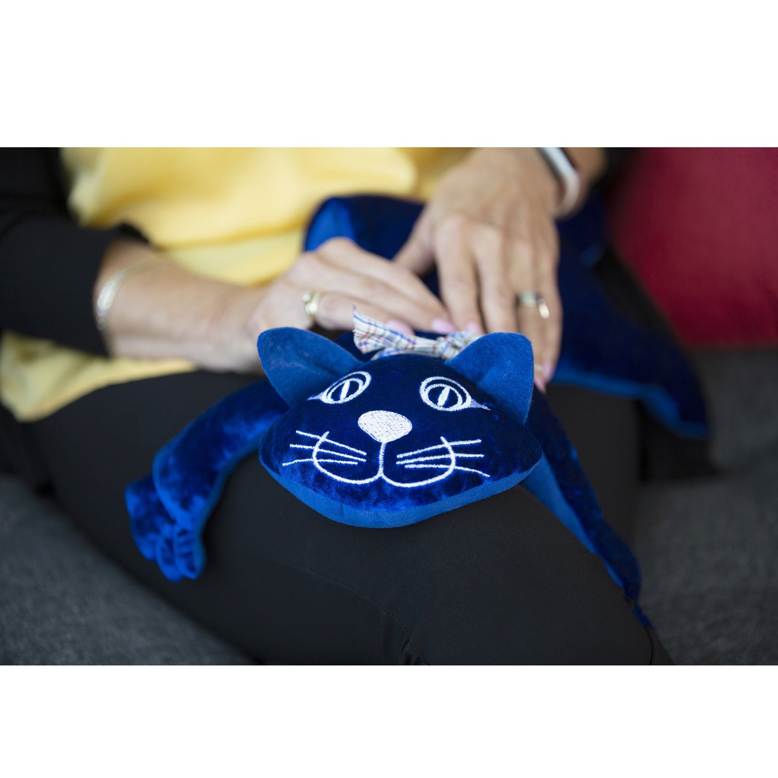 Manimo - Verzwaarde Kat - 2 kg