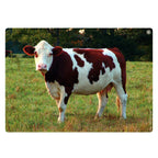 Afbeeelding van het spel Audio Flashcards - Alledaagse Geluiden, speciaal geselecteerd  voor ouderen met dementie.