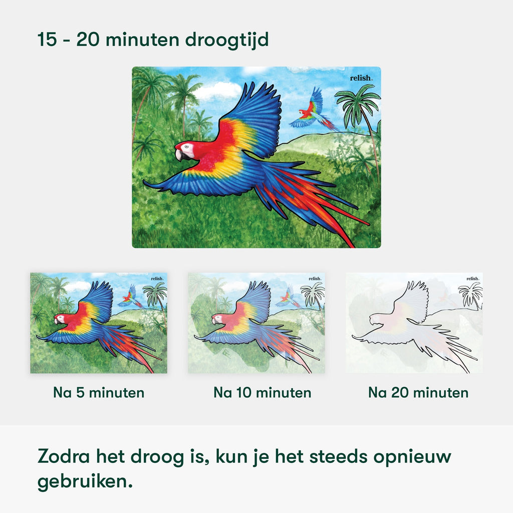 Schilderen met water - Prachtige vogels
