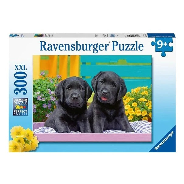 Puzzel Ravensburger - Zwarte Labradors (300 XXL)