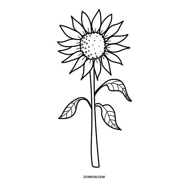 Kleur- en Vertelboek voor Senioren: Bloemen – Creatief kleurboek dat bloemrijke herinneringen stimuleert voor senioren.