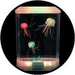Aquarium - met 'glow in the dark' kwallen 
