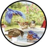 Puzzel - Vogeltjes in bad - 35 stukjes