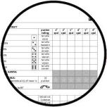 Dobbelspel scoreformulieren extra groot