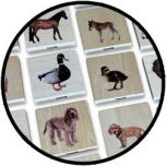 Houten Memo - Welke dieren horen bij elkaar