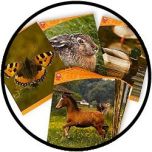Kaarten - Natuurfoto's