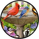 Puzzel Ravensburger - At the Birdbath (500 XL)