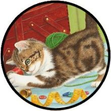 Puzzel - Het leven van een Kitten - 13 stukjes