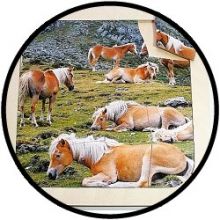 Puzzel Paarden - hout 16 delig
