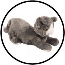 De verzwaarde kat