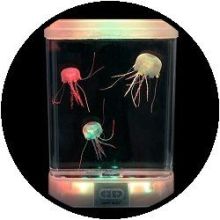 Aquarium - met 'glow in the dark' kwallen 