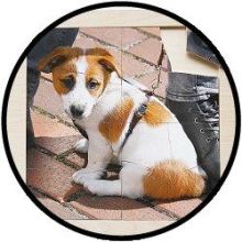 Puzzel Hond - hout 16 delig