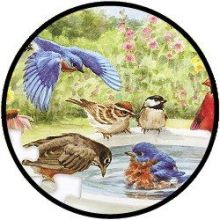 Puzzel - Vogeltjes in bad - 35 stukjes
