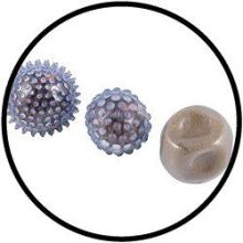 Modderballen