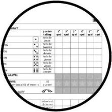 Dobbelspel scoreformulieren extra groot