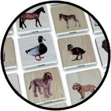 Houten Memo - Welke dieren horen bij elkaar