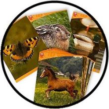Kaarten - Natuurfoto's