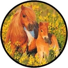 Puzzel Ravensburger - Shetlandpony (100 XXL)
