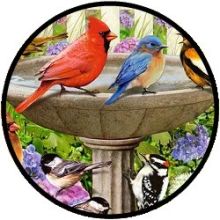 Puzzel Ravensburger - At the Birdbath (500 XL)