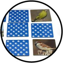 Memo Vogels