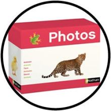 Foto Box - Dieren