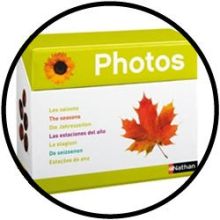 Foto Box - De Seizoenen
