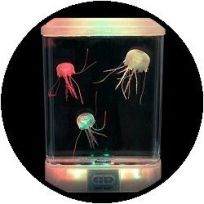 Aquarium - met 'glow in the dark' kwallen 
