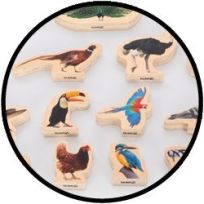 Houten Vogel Blokken